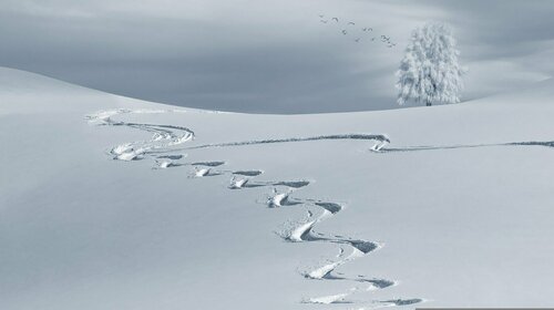 Priorités de  déneigement